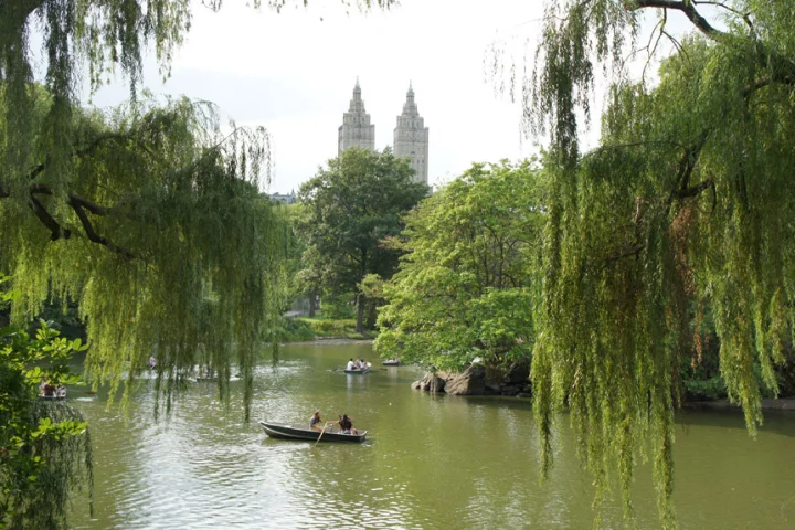i-Tree software provides analysis, benefit-calculations and assessment tools to quantify the contribution made by trees in the urban environment (Photo: Noel McKeegan)