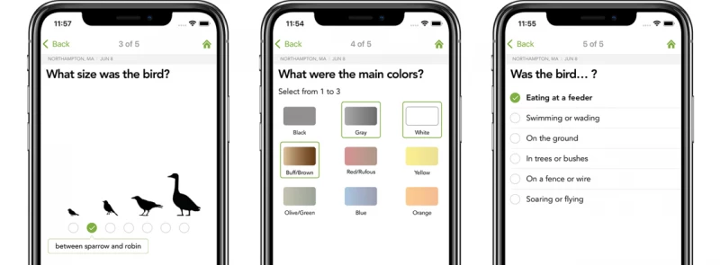 The interface is incredibly easy to use