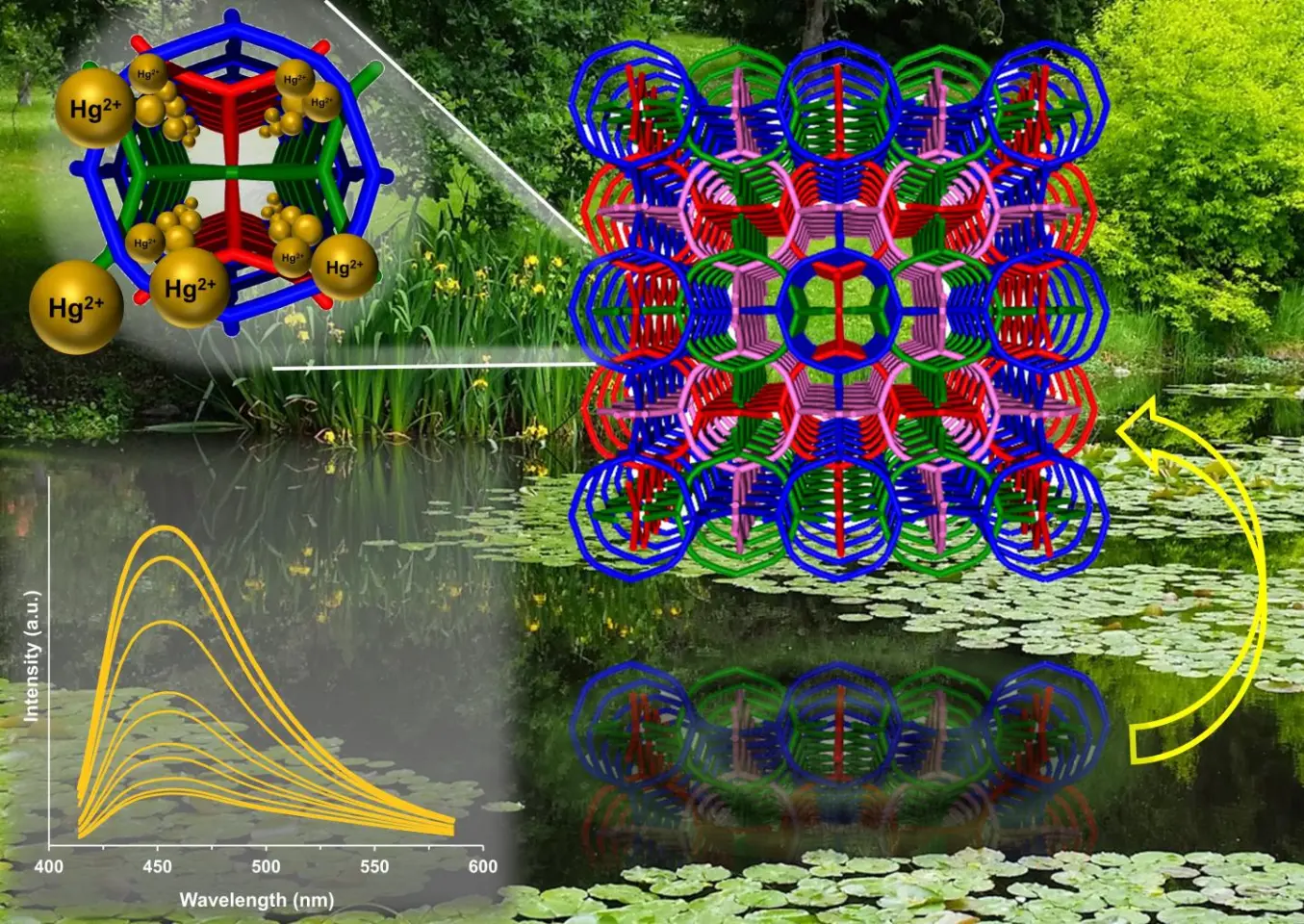 Different views of the crystal structure of an organic framework that traps heavy metals