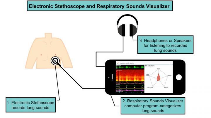 The system centers around an electronic stethoscope and a program that analyzes what it hears