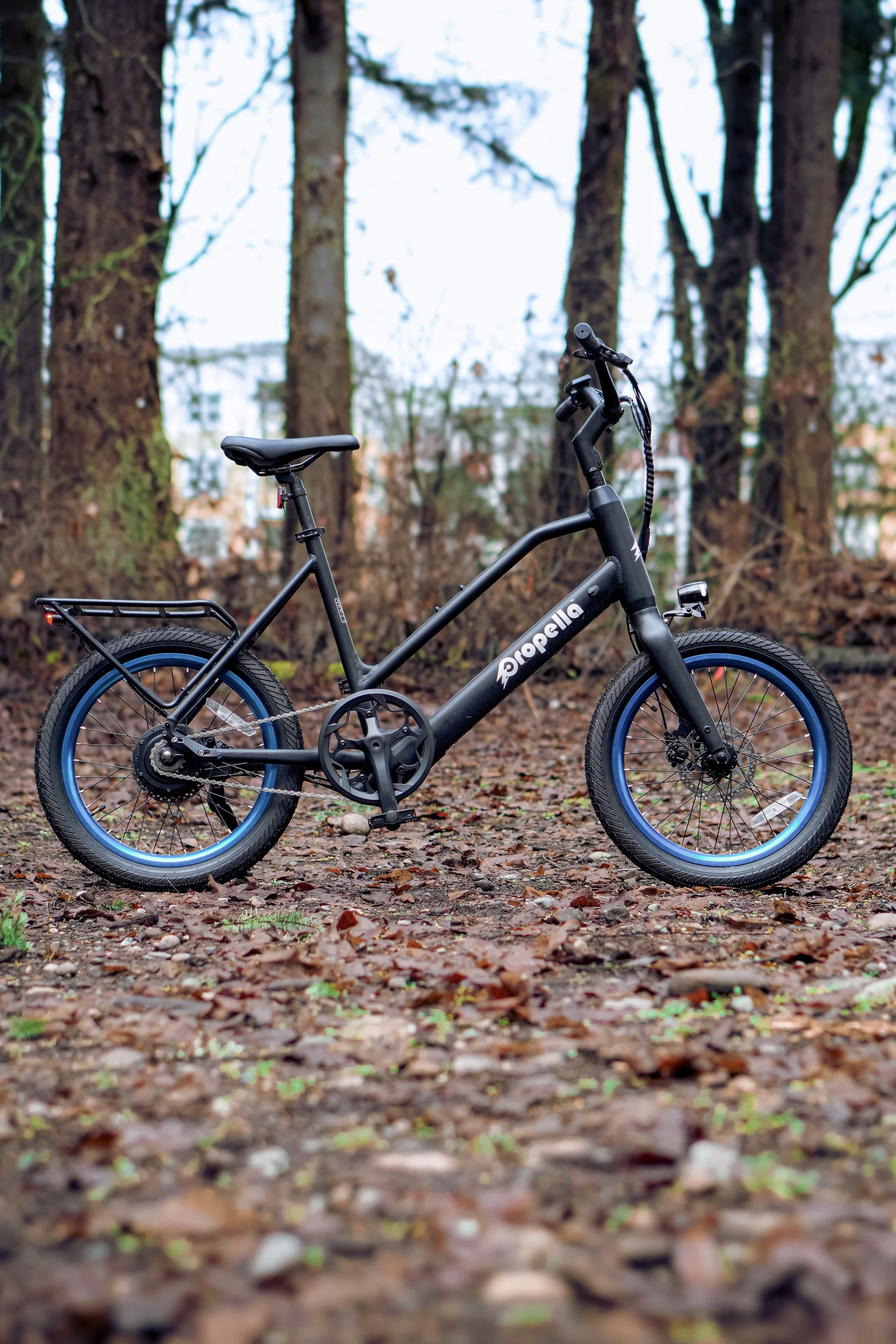 A compact and lightweight Class 2 utility ebike