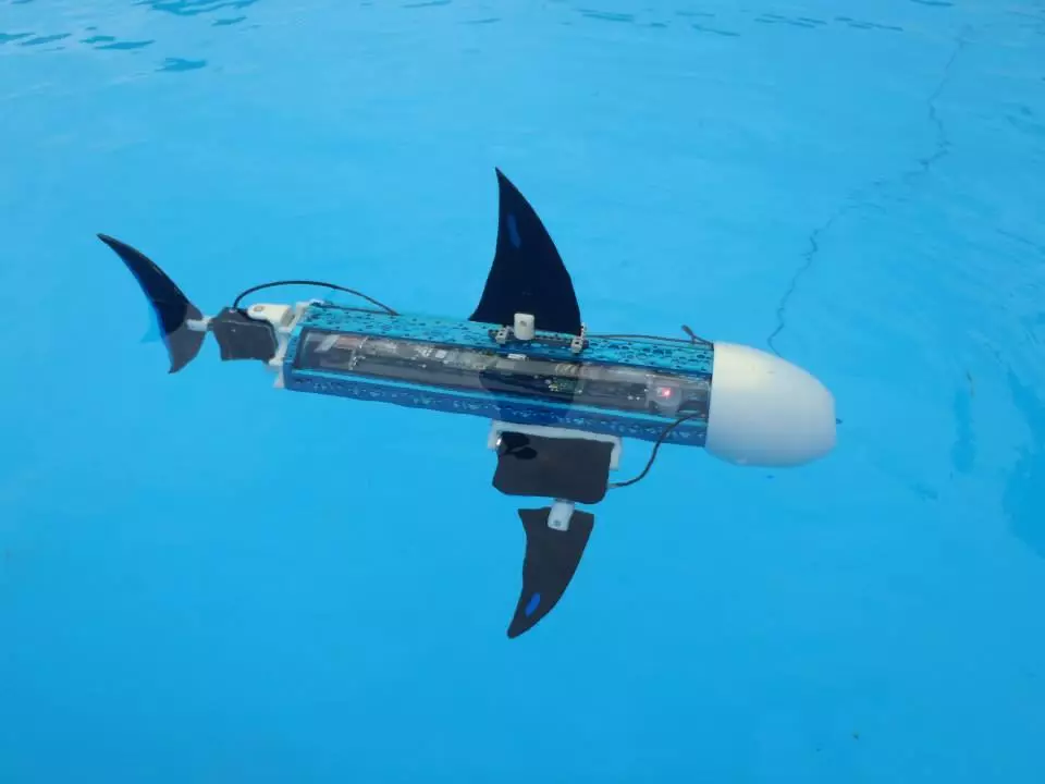 The naro-nanin contains a dive pump allowing the operator to change its depth in the pool (photo: naro - nautical robots)