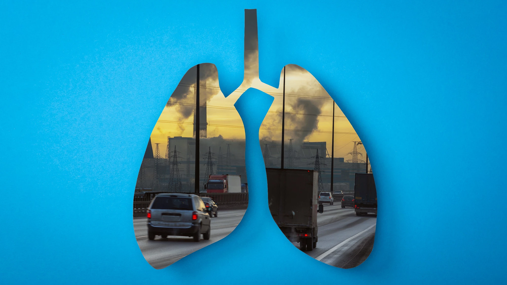Scientists have identified how air pollution damages lung function – and potentially how to treat it