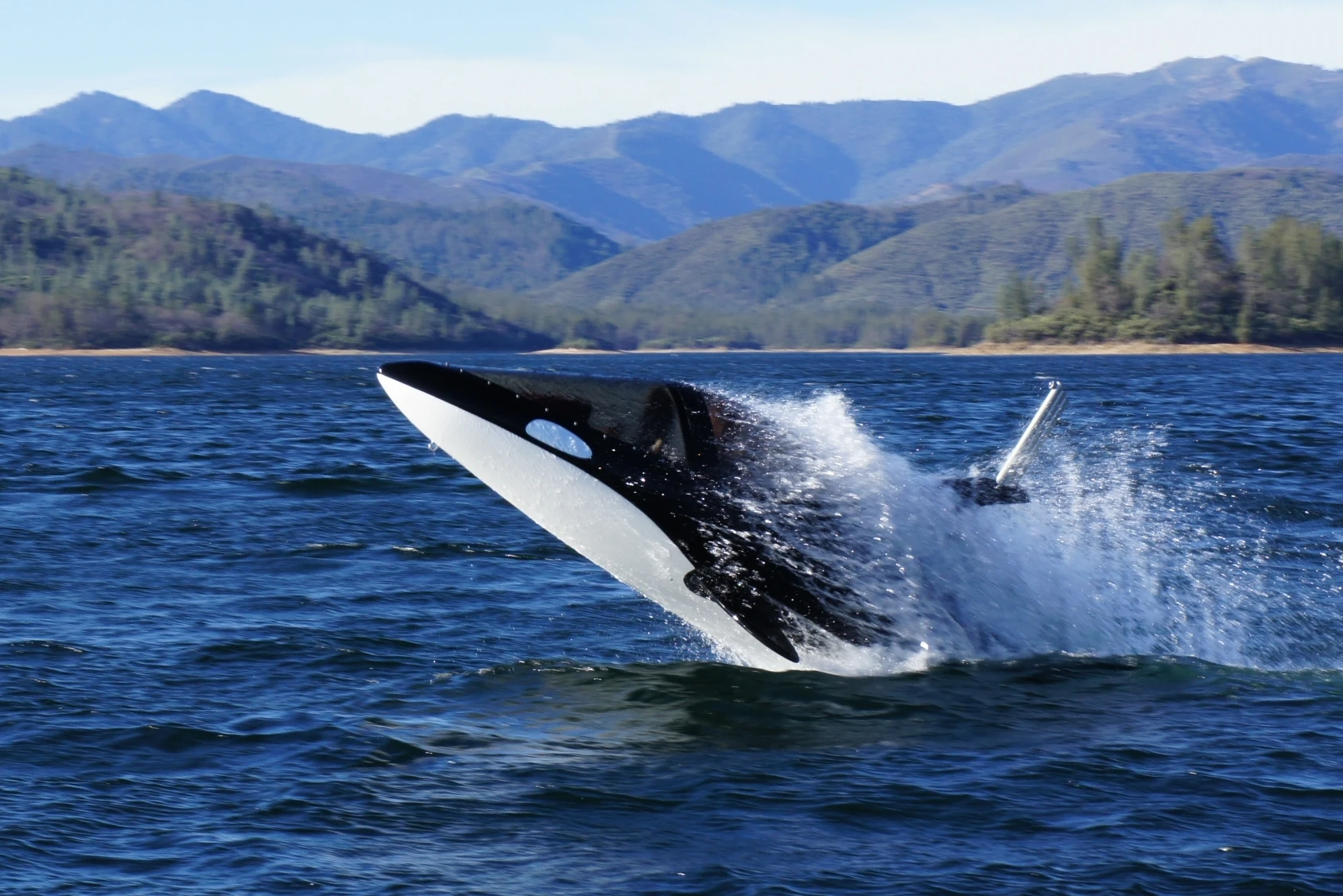 The Innespace Seabreacher