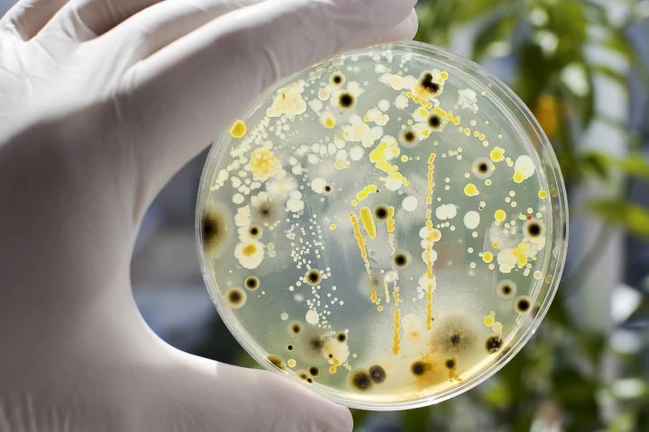 Screening the oral microbiome could be a powerful tool to help prevent pancreatic cancer