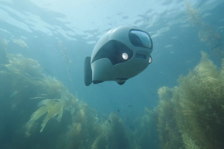 BIKI moves by flipping its tail