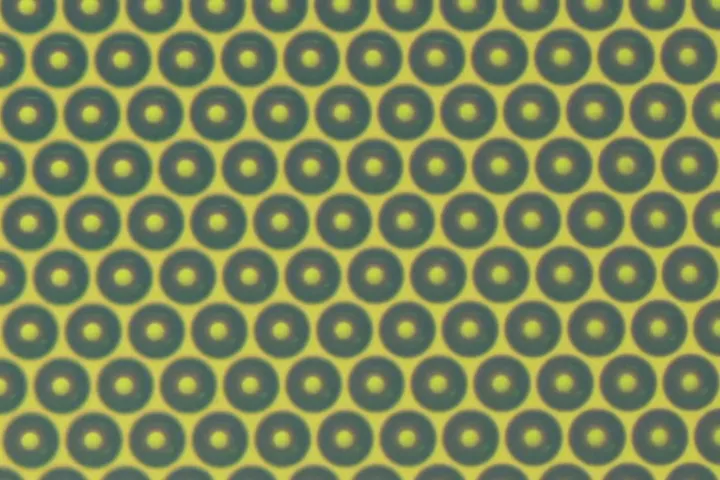 A close-up view of the microlenses making up the biochip array