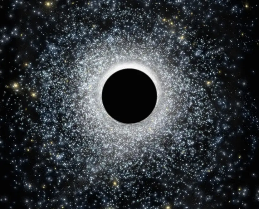 A team has found new evidence of a middleweight class of black holes, which have long been proposed but are tricky to detect