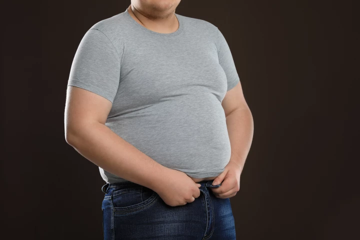 By mapping the nerves supplying brown fat, researchers are a step closer to a novel obesity treatment