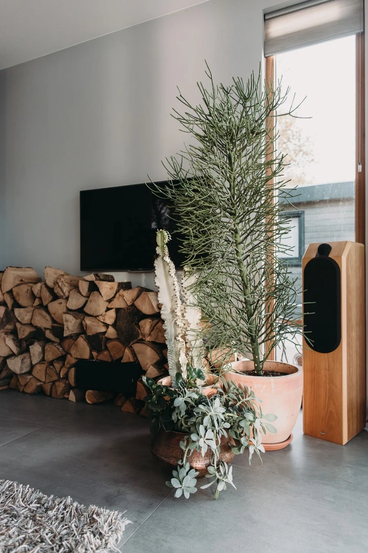 Natural wooden elements of the home