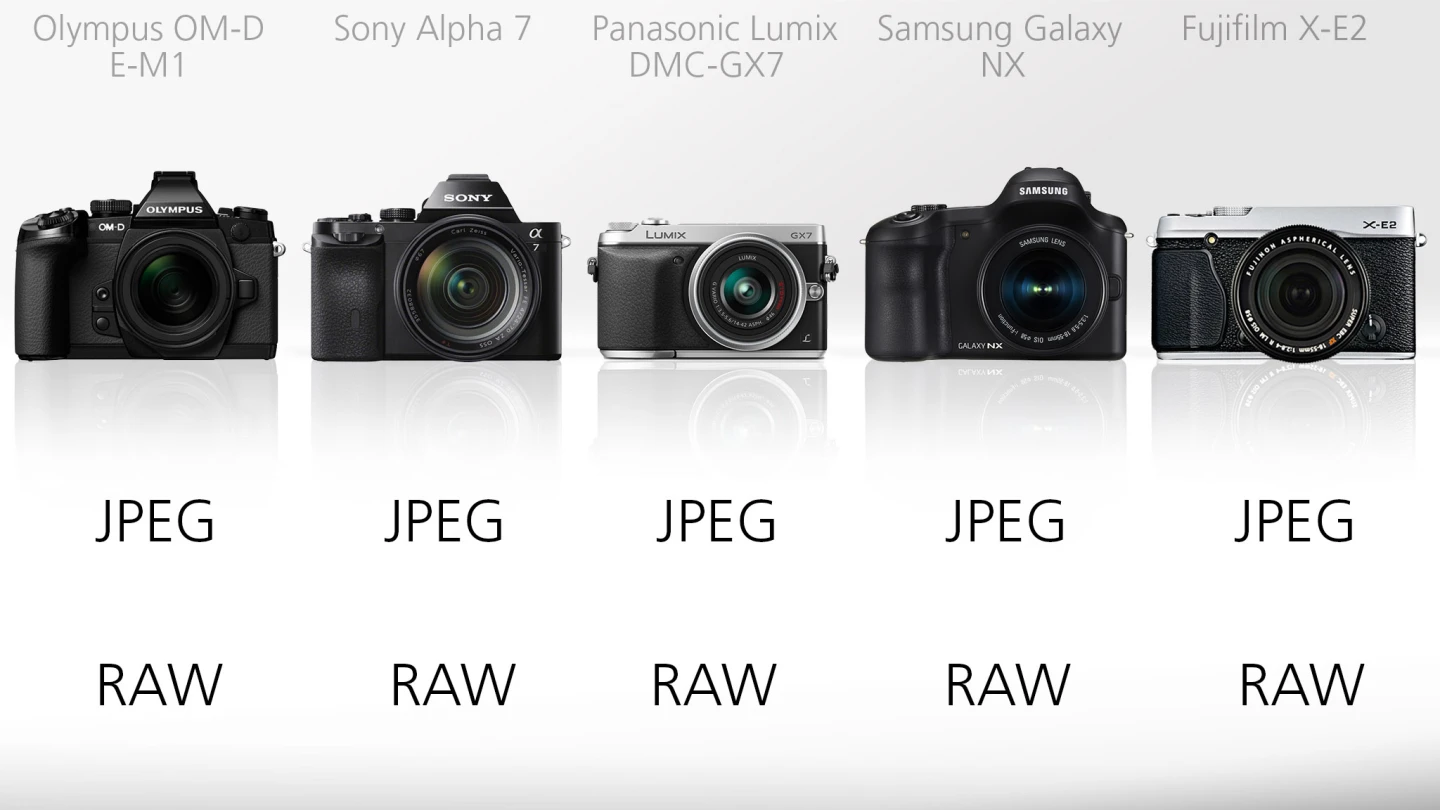 All of the cameras can shoot JPEG and more post-production friendly RAW files
