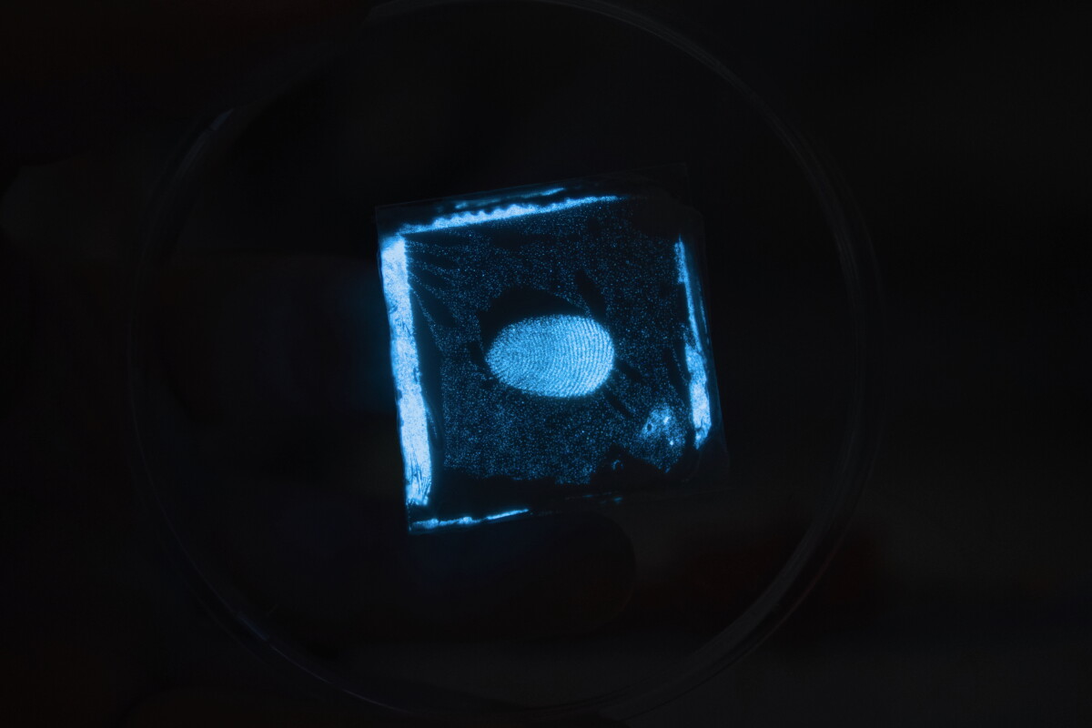 Electronic skin instantly displays touch as light