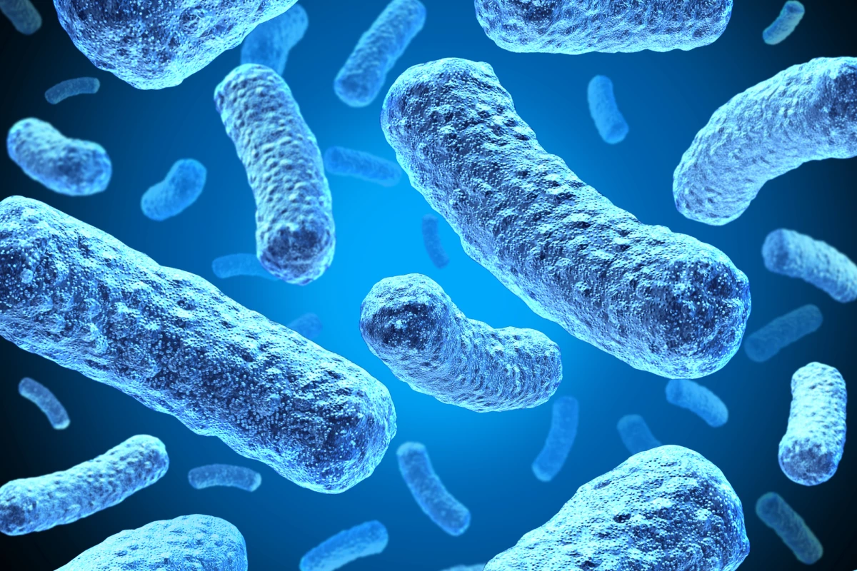 Researchers have developed a new biohybrid battery design that harvests electricity from bacteria