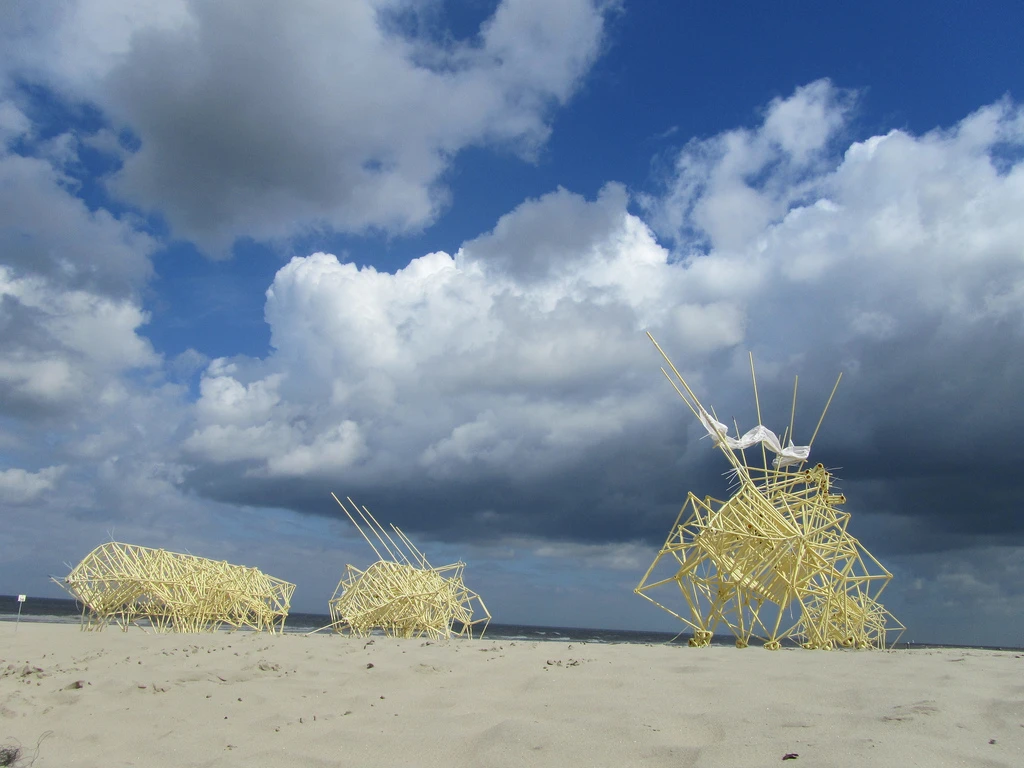 A herd of the Animaris Adulari on the beach (Photo: Theo Jansen)