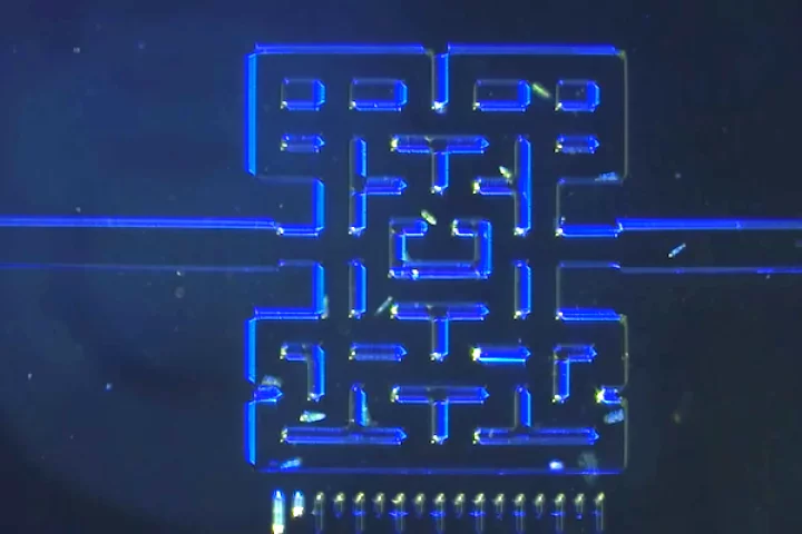 Researchers in Norway have recreated the iconic maze from Pac-Man on a microscopic scale, and filled it with microbes that will hunt each other