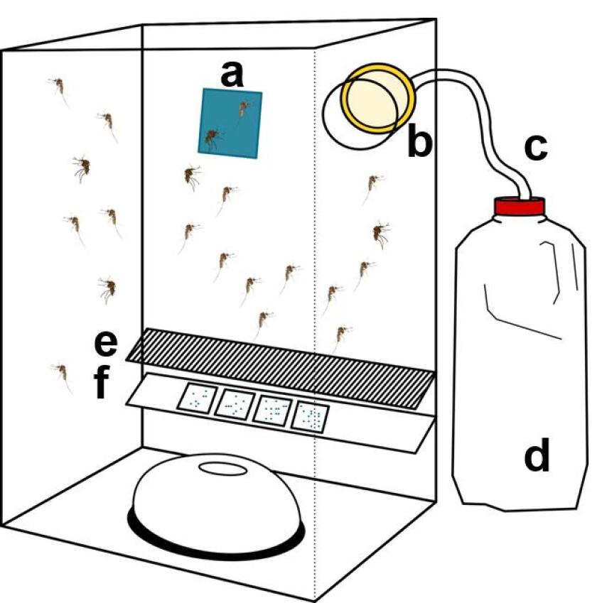 A diagram shows how passive box traps were modified: (a) feeding substance fixed with a magnet, (b) specimen jar holding a sponge, (c) a rope covered with plastic tubing to transfer water to the sponge, (d) bottle filled with water, (e) mesh preventing dead mosquitoes falling into the waste collection insert, and (f) an insert with nucleic acid preservation cards, which can preserve viral RNA at room temperature for later testing