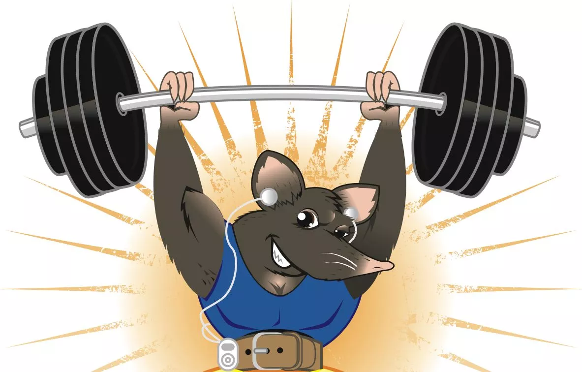 The Scripps Research Institute has developed a drug that duplicates the benefits of exercise – at least for mice (image: Shutterstock)