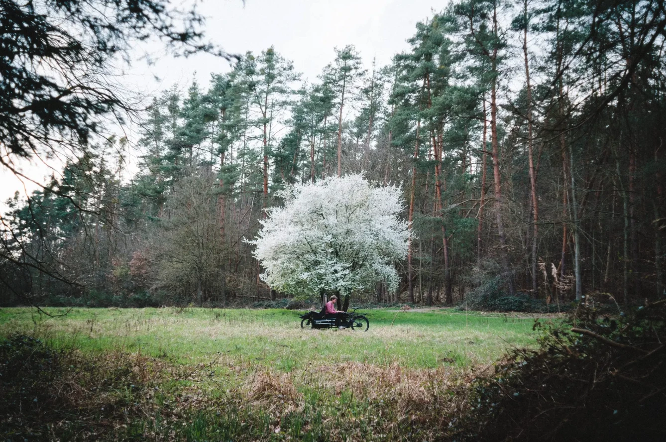 A remote office quite unlike average