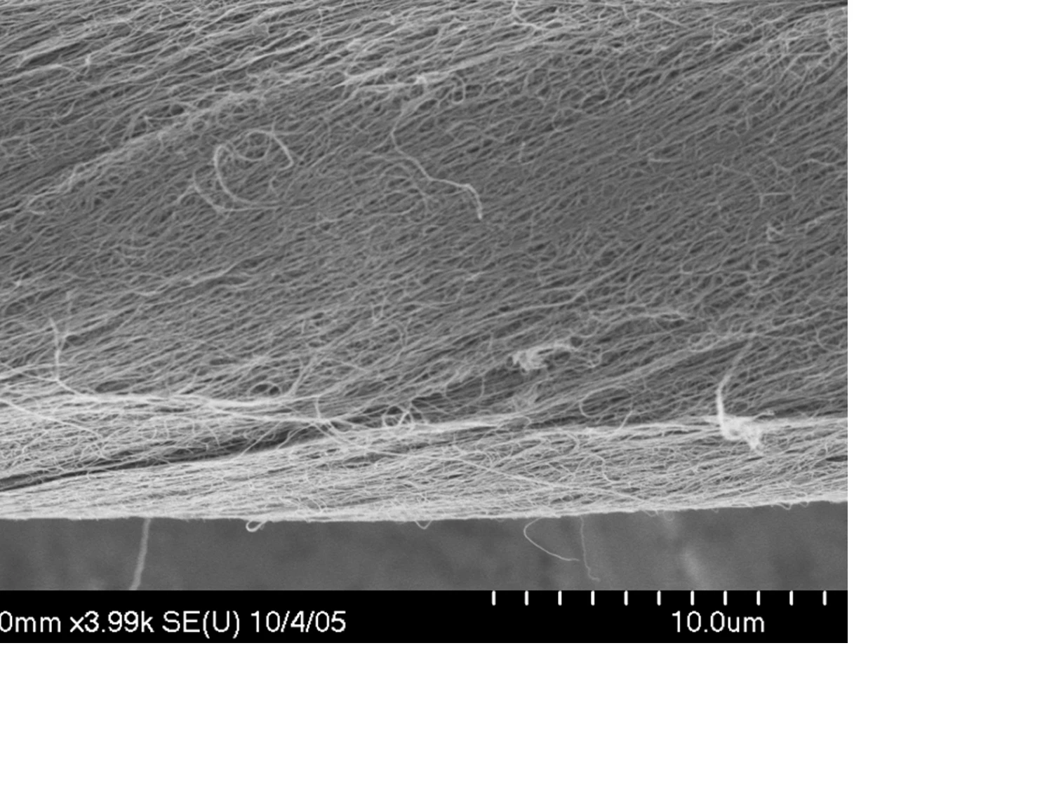 A close-up of one of the carbon nanotube yarns (Image: University of Texas at Dallas)
