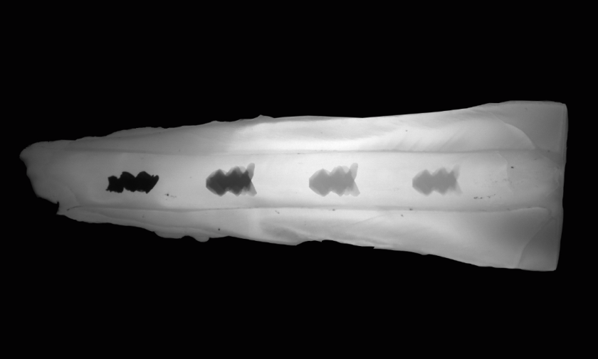 Timelapse image shows a helicoid-shaped iron-oxide microrobot as it moves through a tooth canal