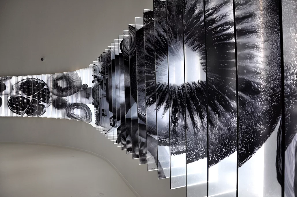 Creative artistic impressions of food