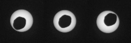 Solar eclipse by the Martian moon Phobos (Image: NASA/JPL-Caltech/Malin Space Science Systems/Texas A&M University)