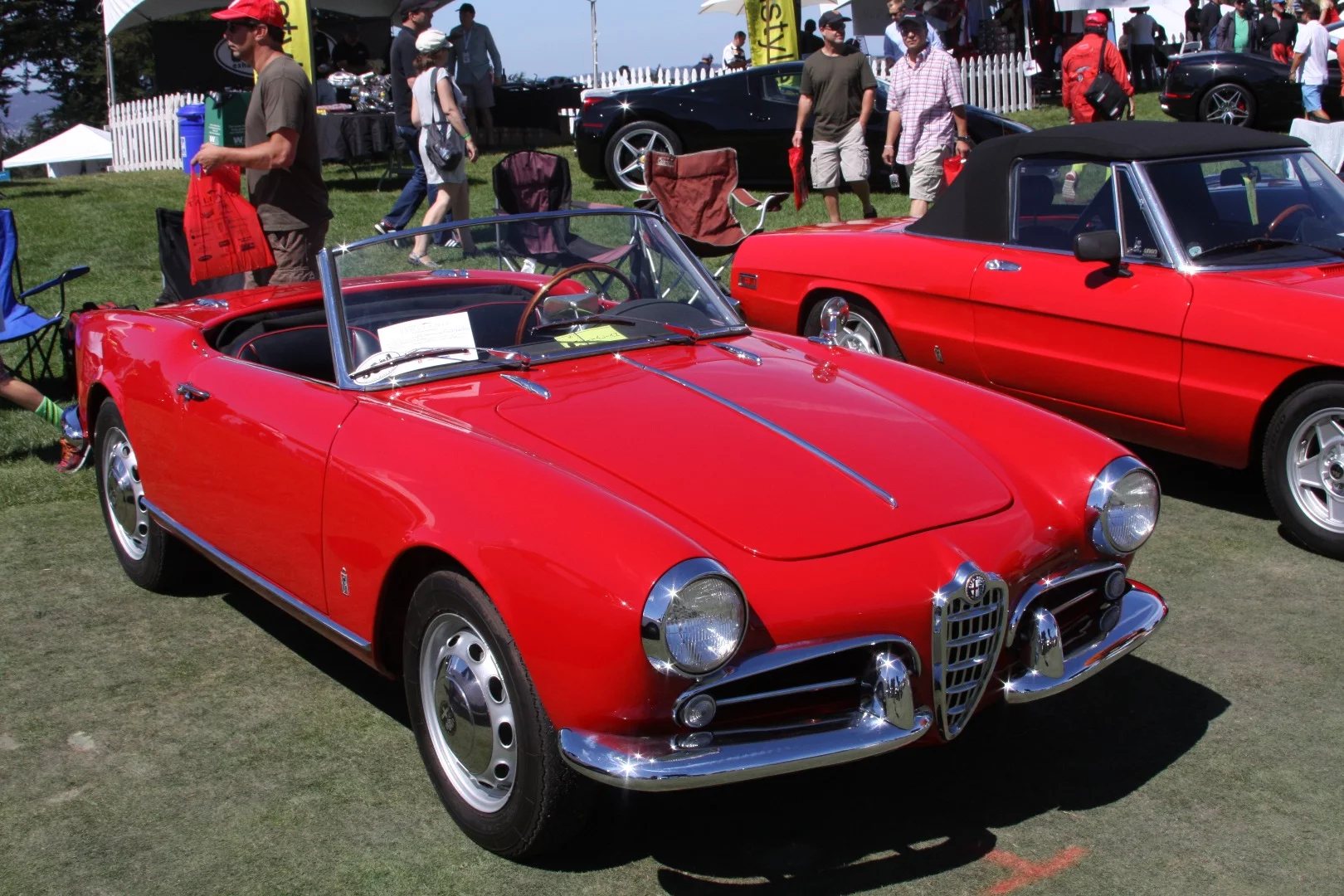 1959 Alfa Romeo Spider Veloce at The Concorso Italiano