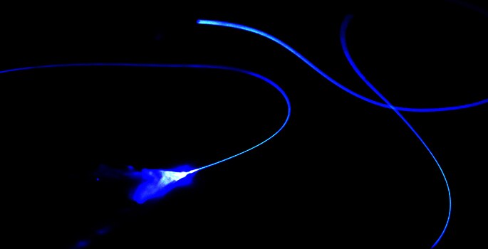 The technique sees genes expressing optically sensitive proteins inserted into particular cells with the aim of changing how they respond to light (Image: Vanderbilt University/Steve Green)