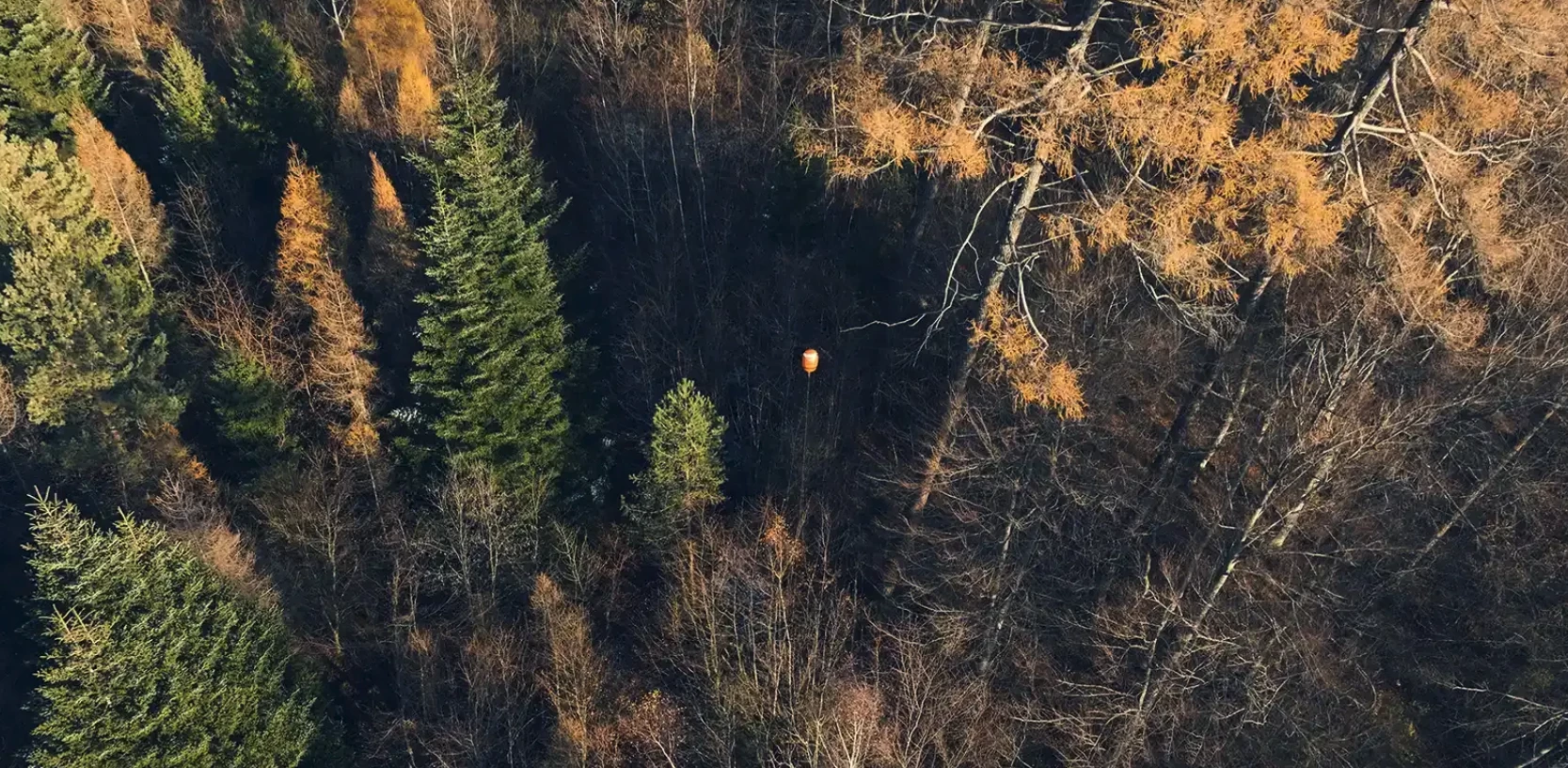 The Airmarker balloon makes a victim's location much easier to spot in this dense forest