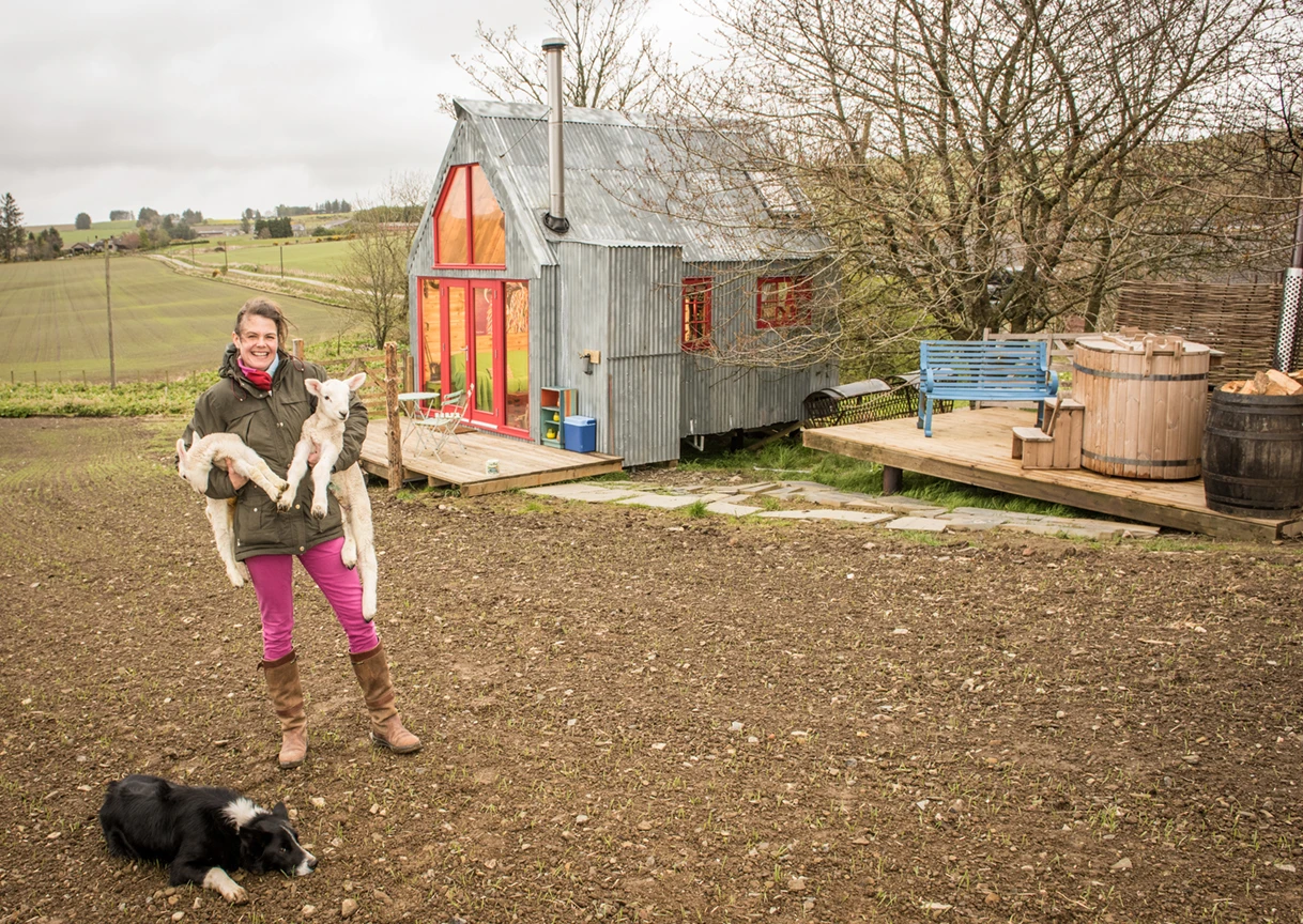 The Sheep Shed
