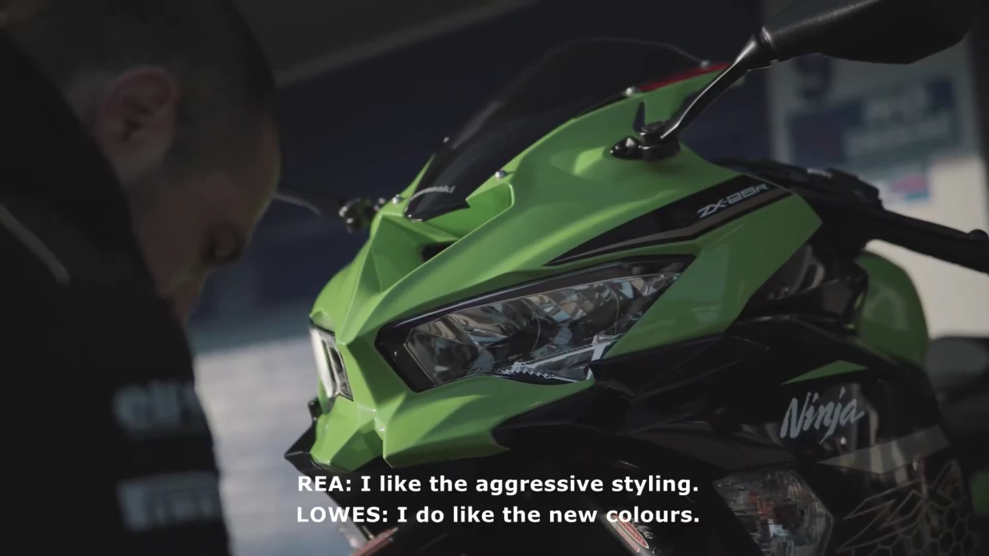 The new colors? Yes, that green is certainly interesting, maybe Kawasaki should experiment with a little more green