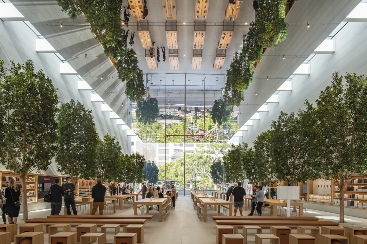 Apple The Grove features Ficus trees inside