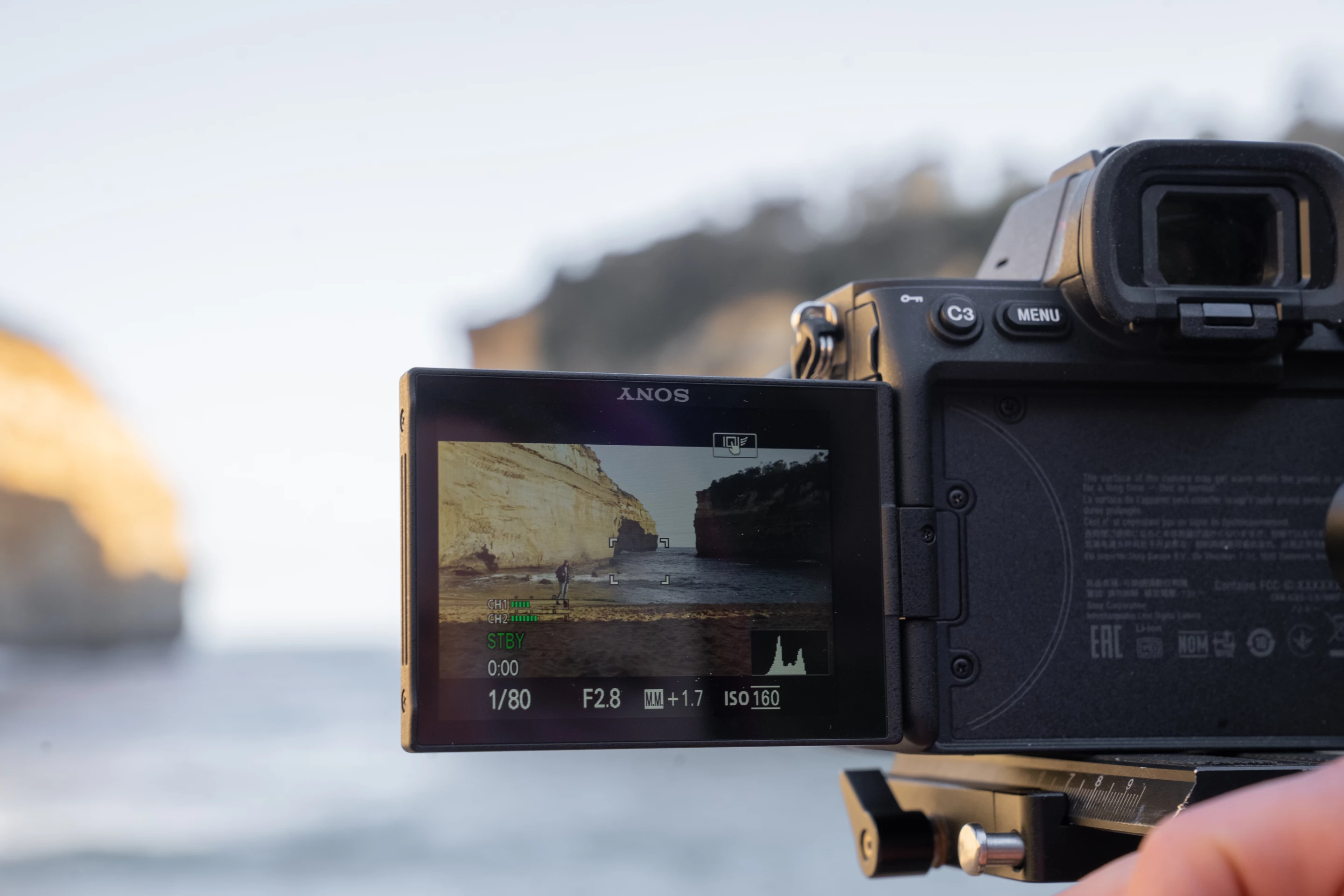 The 2.95-inch touch panel flips out to the side, where it can then be tilted for optimum viewing