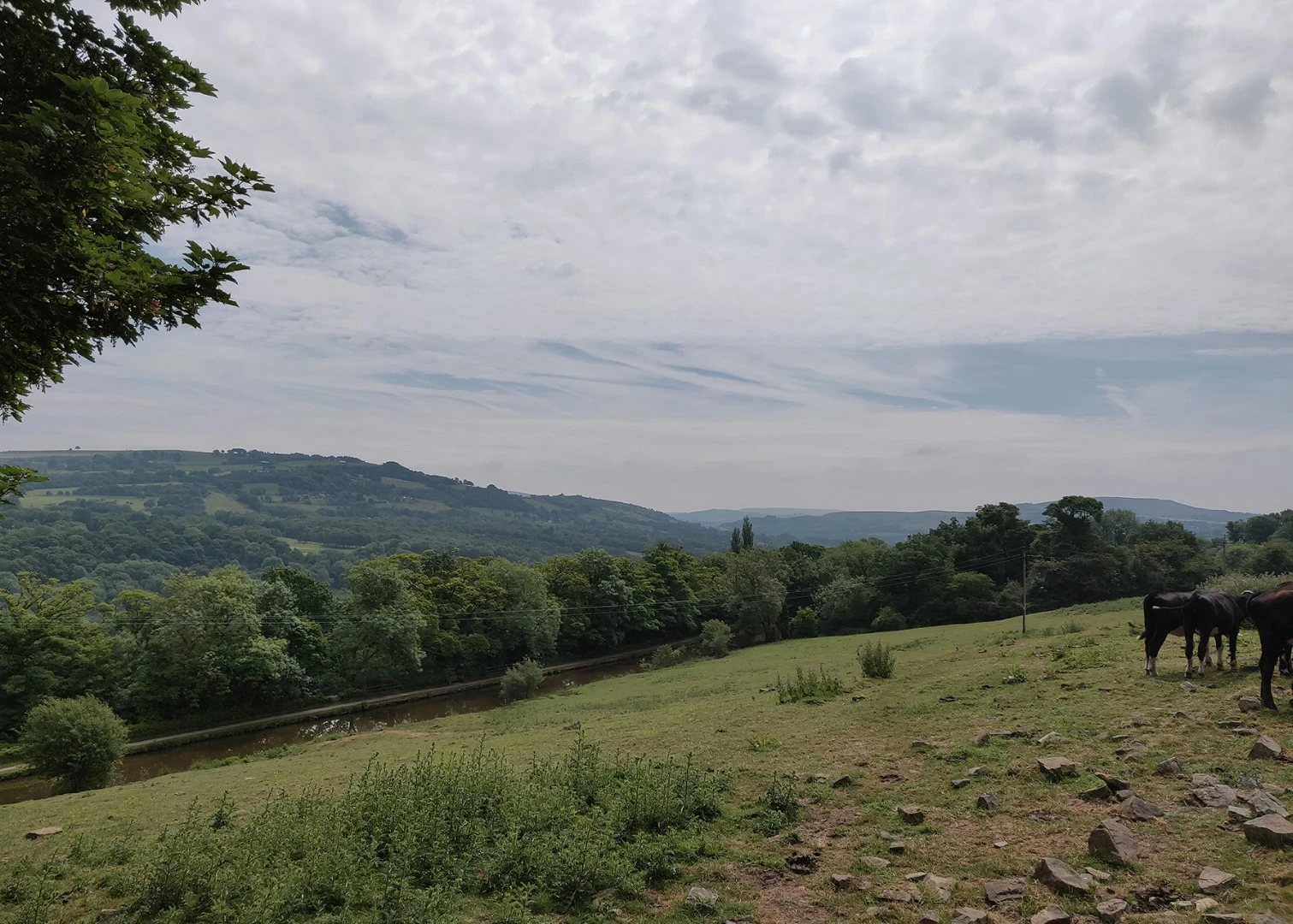 The OnePlus 6 has one of the better cameras we've seen, it just doesn't quite hit the heights of a Samsung or Apple phone