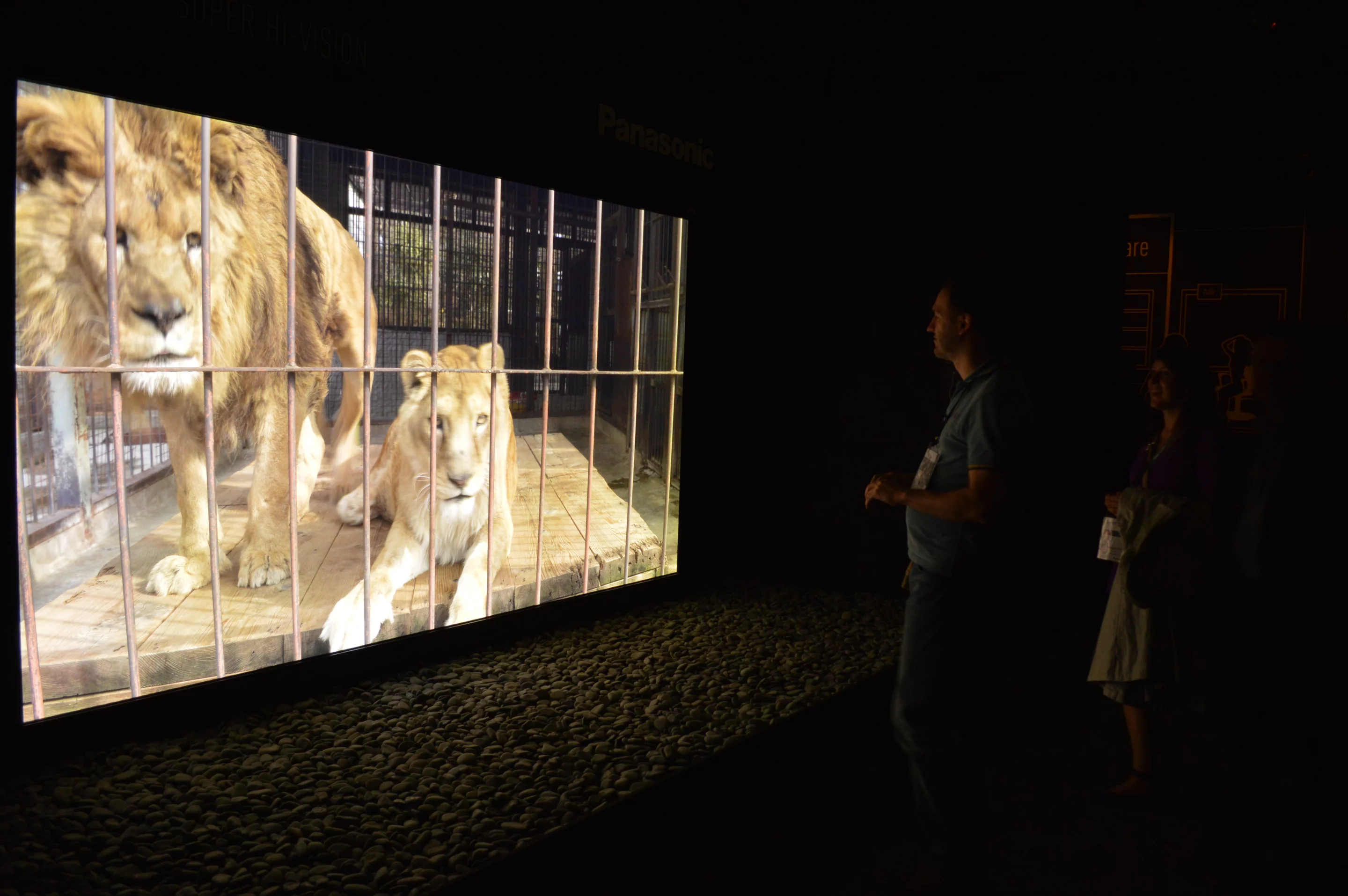 Panasonic and NHK's 145-inch 8K display