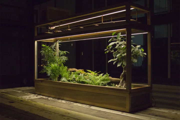 Plant-in City is a smart garden system that uses computer software to monitor water and light