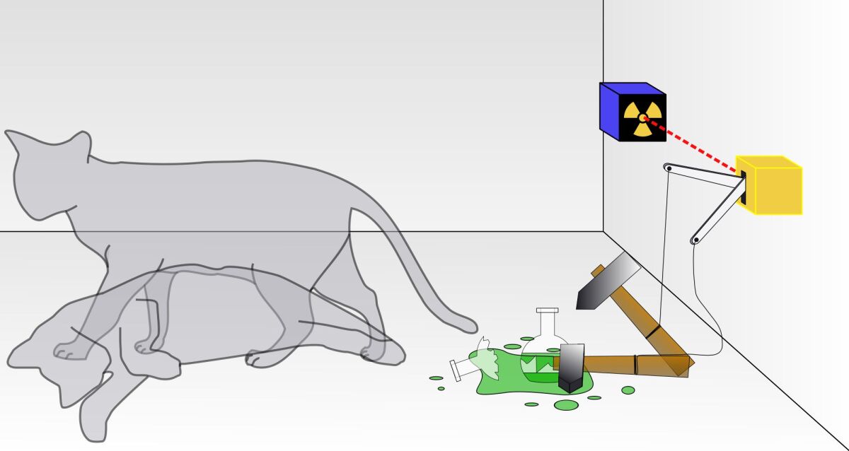 Schrodinger's Cat points out the strange paradoxes of quantum theory (Image: Doug Hatfield)