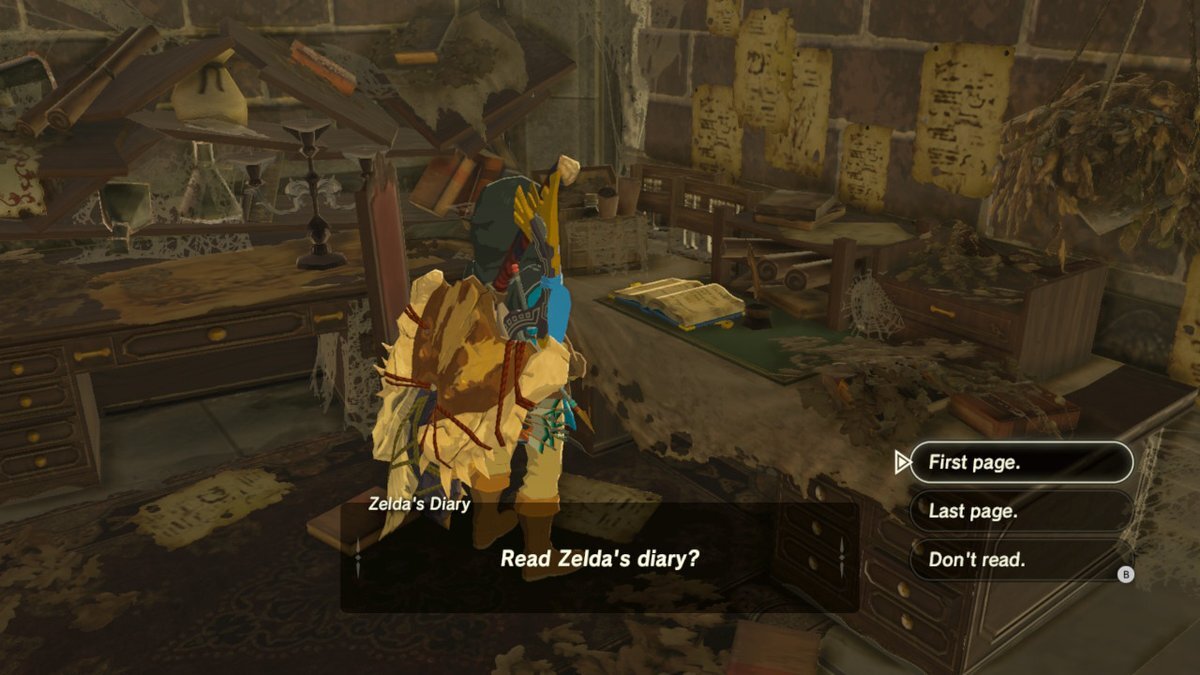 Zelda's diary