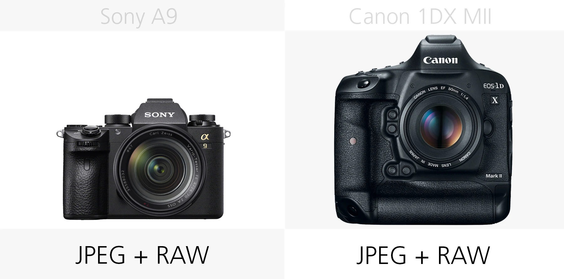 Comparing the photo file types of the Sony A9 and Canon 1DX Mark II