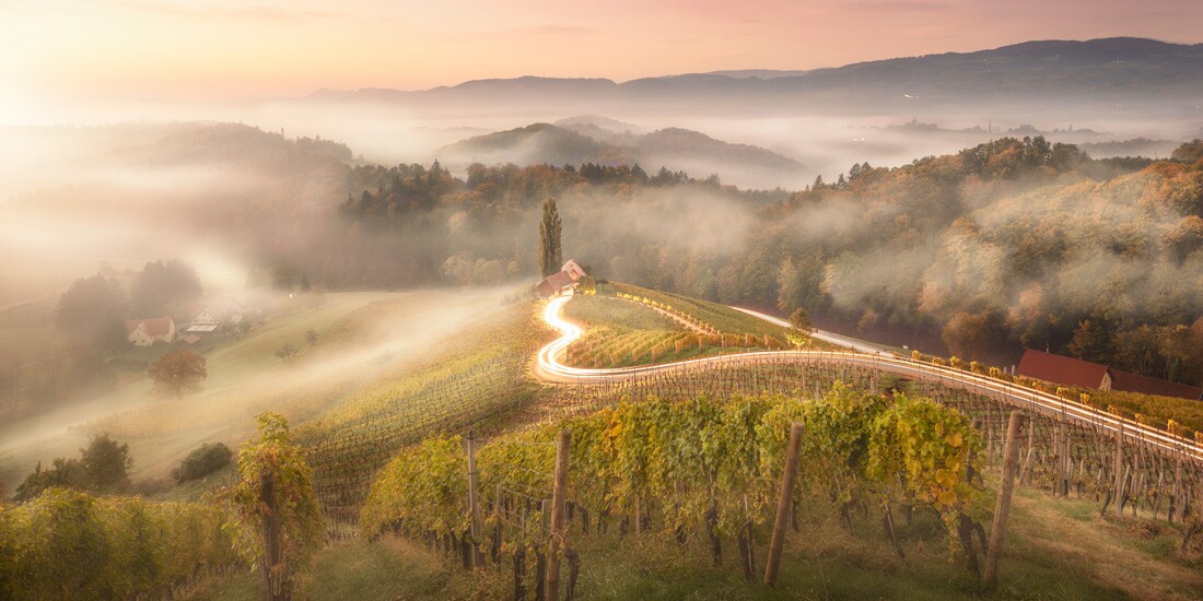 하이라이트 - 아마추어, 건축 환경. 빛나는 마음. 슬로베니아