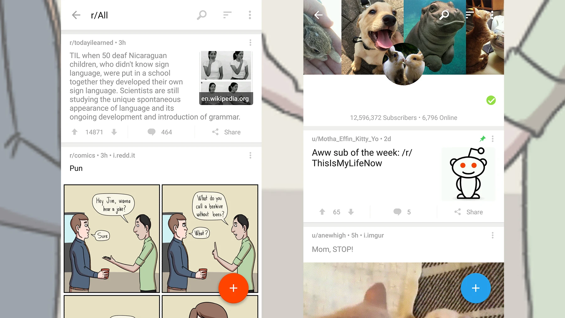 Reddit