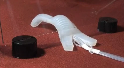 Harvard soft-bodied robot creeps under a glass obstacle using legs actuated by compressed air