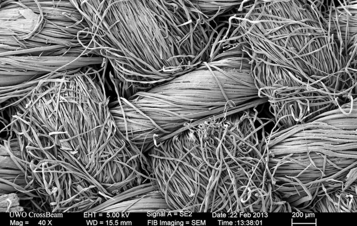 Electron microscope view of test textiles