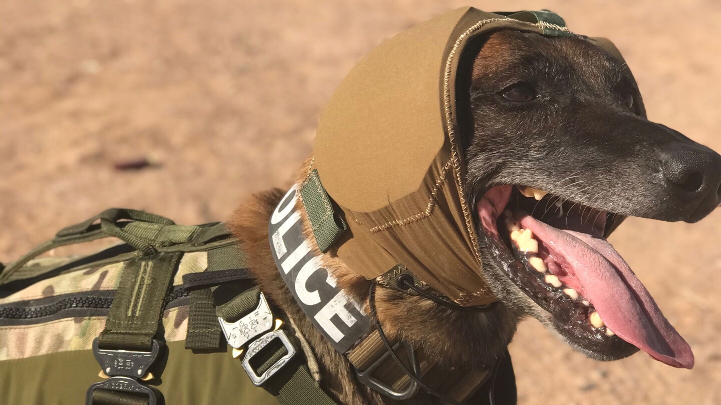 The CAPS hood has a low profile, so it shouldn't get in the way when dogs are working in tight spaces