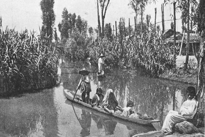 Traditional chinampas photographed in 1912