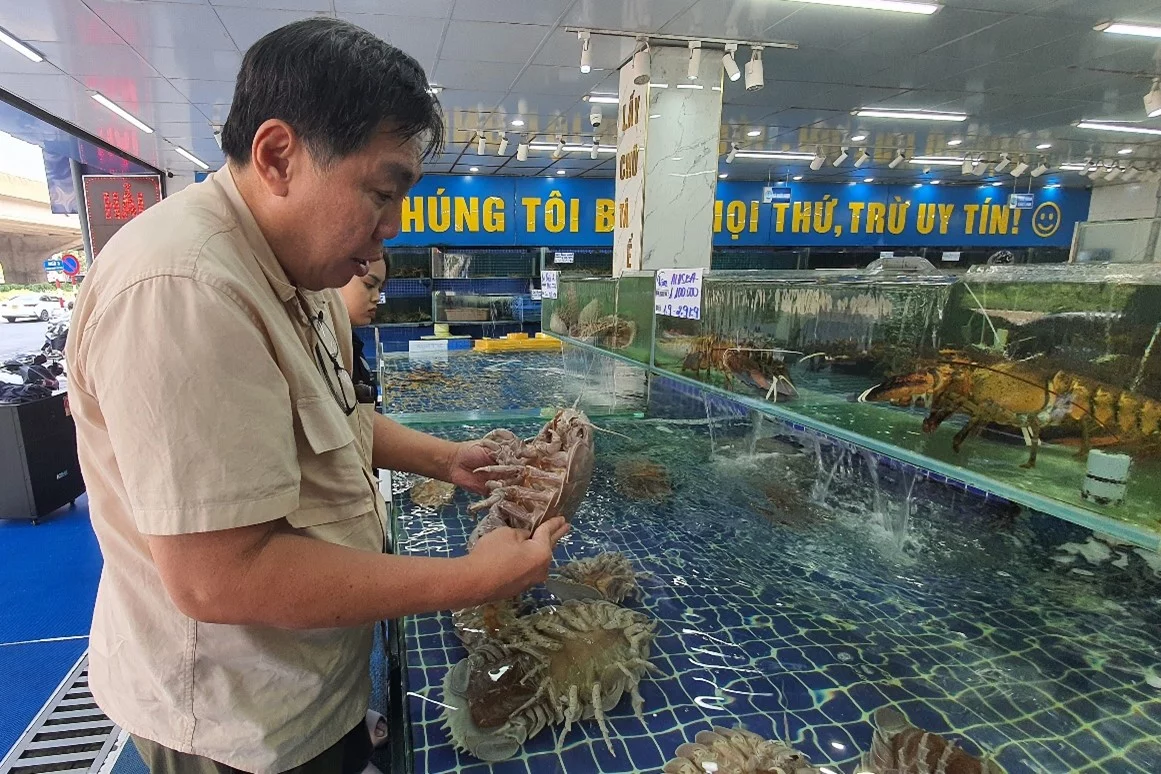 Prof. Peter Ng examining giant isopods at a seafood market in Hanoi, October 2024