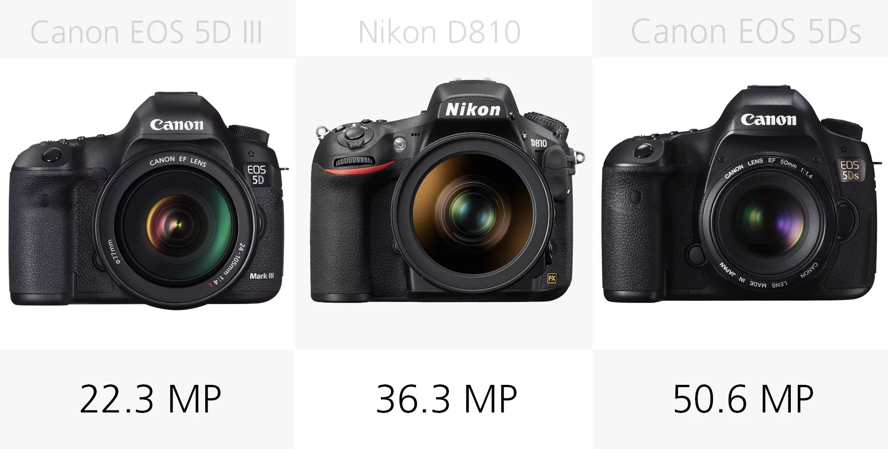 Full frame DSLR effective megapixel comparison Canon EOS 5D III, Nikon D810, Canon EOS 5Ds