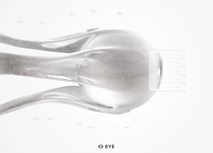 A synthetic eye