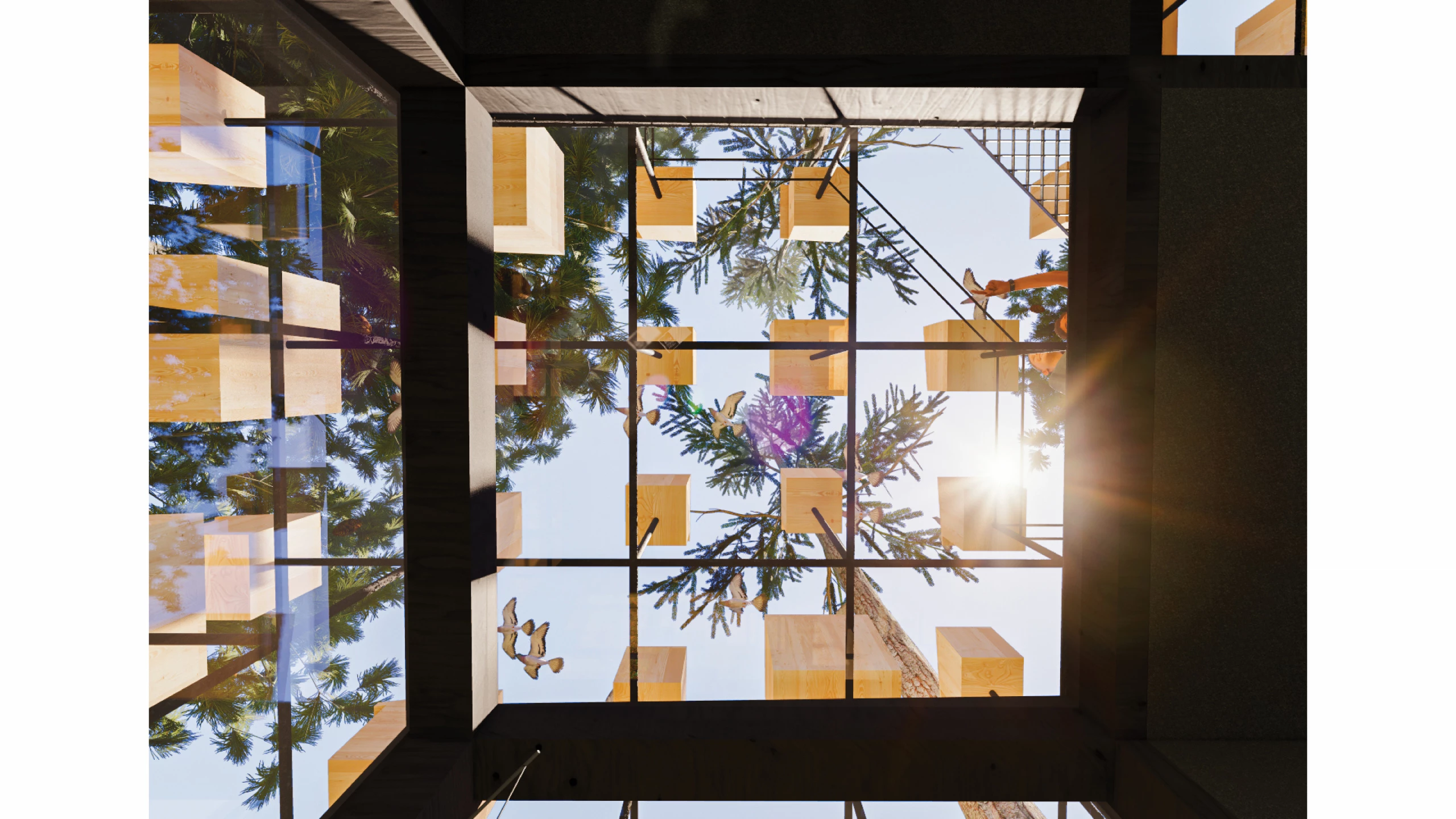 Biosphere will feature a mostly glazed facade, broken up by the birdhouses
