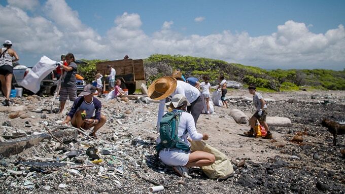 Collecting the waste for the installation